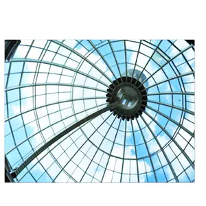Wirtschaft liche vorgefertigte Stahl konstruktion gebogenes Baldachin Einfache Montage Glaskuppel dach für Hotel Atrium