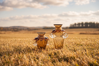 Vas Kaca Teh Amber Mewah Antik dengan Pegangan Bersayap, Aksen Dekoratif Transparan dengan Pegangan Bersayap untuk Hiasan Tengah Meja Pernikahan