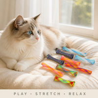 Jouet à mâcher pour chat extensible arc-en-ciel, tube de jeu élastique en maille pour chat