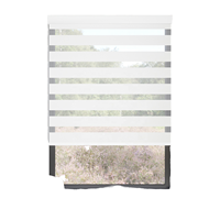 Persianas Verticales Motorizadas Inteligentes, Automáticas, Impermeables, con Diseño de Zebra, Filtro de Luz y Privacidad para Ventanas