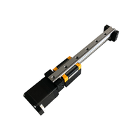 Actionneur d'étape de guidage linéaire CNC de moteur pas à pas hybride Nema 11 avec étape de guidage linéaire de contrôle de Table coulissante de Rail de mouvement de vis à billes