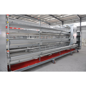 Équipement d'élevage de haute qualité pour cages à animaux, types A/H au choix pour cages à poules pondeuses - Product Image 3
