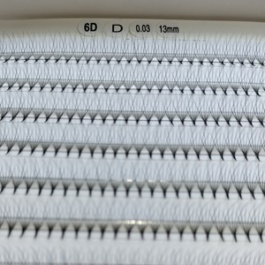 CAMELLIA 6D Tray XL Extensions de cils Irritation OEM Utilisation d'un plateau ou d'une boîte Beauty Pack Fabriqué au Viet Nam Fabricant - Product Image 6