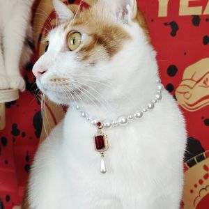 Collar de gato de perlas de lujo con colgante de gama alta seguro perro gato mascotas collar joyería para <span class=keywords><strong>gatitos</strong></span> <span class=keywords><strong>persas</strong></span> - Product Image 5