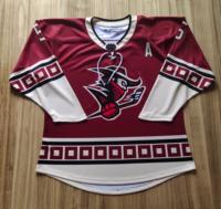 Maillot de hockey sur glace personnalisé sublimé 100% polyester antibactérien respirant anti-transpiration uniforme d'équipe grande taille unisexe OEM