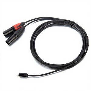 Câble de microphone DC007 Yinyu DDP RTS 2M Type C vers 2 XLR mâles <span class=keywords><strong>pour</strong></span> studio professionnel et enregistrement sonore en direct - Product Image 1