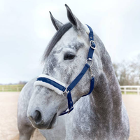 Produits équestres de bonne qualité, licol et bride pour cheval en fausse laine, course équestre, personnalisable