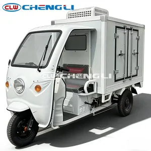 Triciclo Refrigerado CLW, Vehículo de Tres Ruedas para Transporte Refrigerado, Triciclo Eléctrico con Caja de Carga Grande - Product Image 5