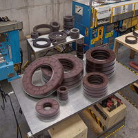 Fabricants de joints d'huile Shubo 35*55*12 TC SC Od 55mm Iad Cs 6 7 8, joint d'huile squelette FKM pour machine de fabrication automobile