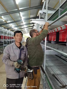 Nido de huevos de gallina Kaleter, gran agujero automático, a precio de fábrica - Product Image 5