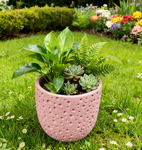 Vaso <span class=keywords><strong>in</strong></span> <span class=keywords><strong>Cemento</strong></span> Poco Profondo con Drenaggio, Piccolo Contenitore Verde per Fiori, Piante Grasse e Cactus - Product Image 6