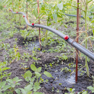 Sistema di <span class=keywords><strong>Irrigazione</strong></span> a Goccia per 1 Ettaro, <span class=keywords><strong>Tubo</strong></span> Principale PE100 da 16mm 20mm 25mm per Frutteti e Alberi - Product Image 3