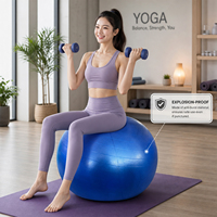 Ballon d'équilibre et de fitness anti-éclatement en PVC, plusieurs tailles, pour la gym et le yoga, personnalisable, vente en gros