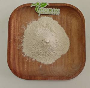 Beste Prijs Kopen Probiotica Bacillus Lateralis Poeder Feed Grade Bacillus Lateralis - Product Image 3