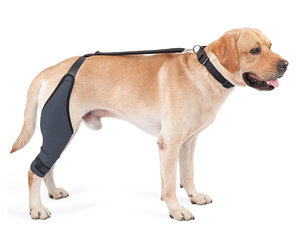 Penjepit lutut anjing peliharaan untuk ACL dengan penstabil samping logam dukungan ekstra mengurangi nyeri kawat gigi kaki belakang dapat disesuaikan untuk anjing - Product Image 1