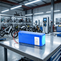 Batterie lithium haute performance 24v 36v 48v 72v pour vélos électriques, batterie Li-ion 10ah 12Ah 20ah 30ah 50Ah pour vélos électriques et scooters