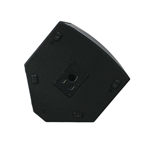 Altavoz Pasivo Profesional de 15 Pulgadas y 500 W - Sistema de Audio Interior Económico para Conferencias - Product Image 4