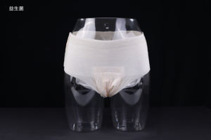 Culottes menstruelles jetables pour femmes, très absorbantes, <span class=keywords><strong>anti</strong></span>-fuites, à fort débit, personnalisées, best-sellers - Product Image 3