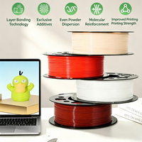 Filamen Printer 3D PETG 1.75mm 1kg Spool Ketahanan Tinggi Daya Rekat Lapisan Kompatibel FDM Harga Grosir Pabrik Produsen