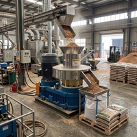 Machine à granulés de biomasse, machine à fabriquer des granulés de bois, pelletiseur de sciure de bois pour combustible biomasse, recyclage des déchets agricoles