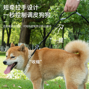 P - Product Image 2