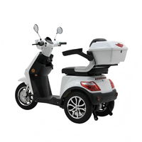 Scooter de mobilité populaire de haute qualité, motos électriques à grande capacité, déplacements pratiques, trois roues