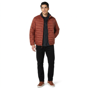 Vestes d'hiver pour hommes en toile matelassée de haute qualité, élégantes, durables, avec col montant et broderie sur le devant, meilleur design - Product Image 1