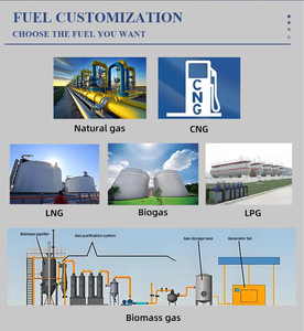 Groupe électrogène au gaz naturel refroidi à l'eau 200Kw Résistance à haute température Démarrage électrique pour GPL Biogaz Syngas Biomasse Gaz Carburant - Product Image 5