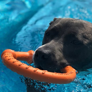Chasing açık köpek frizbi, yumuşak kauçuk <span class=keywords><strong>Pet</strong></span> çiğnemek oyuncak, çevre dostu açık eğitim köpek eğitim için oyuncak çekin - Product Image 5