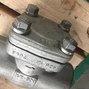 150 800 Pornd Grade Forging Steel Ss Brass Spring Check Valve