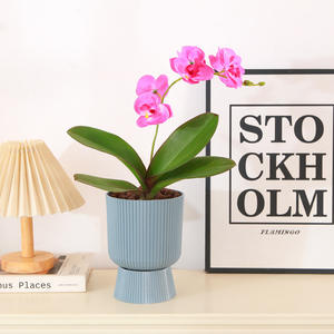 Maceta Alta de Resina Mate Estilo Nórdico, Imitación Cerámica, Simple y Creativa, para Sala de Estar, Hogar, Orquídeas y Plantas Verdes - Product Image 3