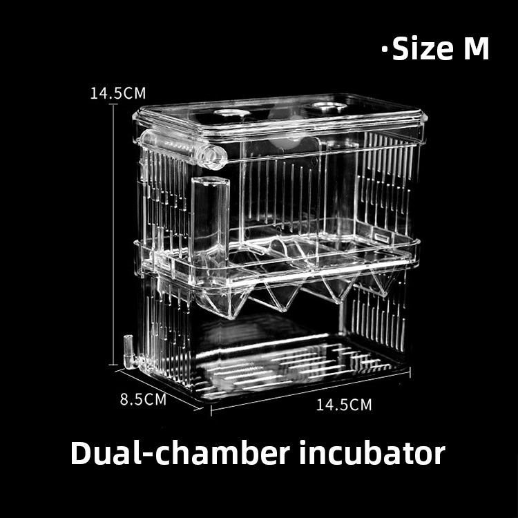 โปร่งใสขนาด M (คู่)