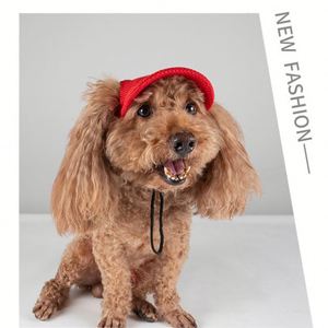 Gorra de béisbol transpirable de malla para perros con orificios para las orejas, sombrero de sol de verano para mascotas, gorras con visera para cachorros, para perros pequeños y medianos, y gatos. - Product Image 6