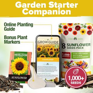 Home Grown 1000 + Paquets de <span class=keywords><strong>tournesol</strong></span> 8 variétés de nains sauvages Lemon Queen Autumn Beauty Sunspot Velvet Valentine's Day - Product Image 6