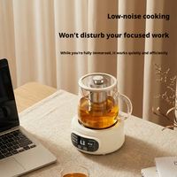 Bouilloire Électrique Multifonctionnelle 500ml à Succès Commercial, 6 Modes de Cuisson, Maintien au Chaud 24H, Bouteille en Verre, Filtre 304 pour Maison et Bureau