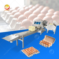 Ligne de production automatique de lavage, séchage, désinfection, pesage, triage et emballage des œufs - Équipement de traitement des œufs pour élevages avicoles