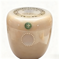 Urne funéraire en céramique émaillée de style chinois, imitation jade afghan, marbre et granit, blanc/vert/doré, pour la conservation des écritures, vente en gros