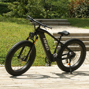 Bicicleta Eléctrica de Alto Rendimiento con Fibra de Carbono, Fafrees F26 Carbon M, Bicicleta de Neumáticos Anchos para Adultos, F26 Carbon M Ebike con Suspensión Completa, Disponible en la UE - Product Image 6