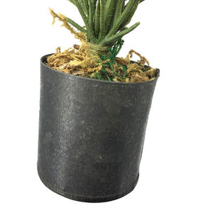 Mini bonsaï artificiel en plastique vert en <span class=keywords><strong>pot</strong></span> pour la décoration intérieure - Product Image 5
