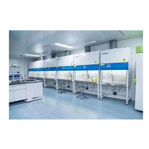 BIOBASE prezzo BSC-1100IIB2-X armadio di sicurezza biologica classe II B2 armadio di biosicurezza - Product Image 2