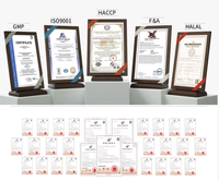 Complément pré-entraînement pour adultes sans sucre, électrolytes, hydratation, créatine, magnésium, croissance musculaire, végétarien