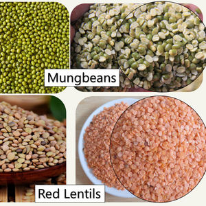 Kolay kullanım kabuğu kaldırma soyma makineleri soya fasulyesi dal değirmen soyma makinesi - Product Image 4