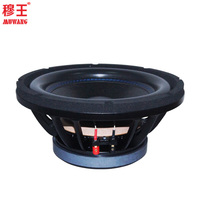 Haut-parleur de scène à aimant en ferrite de 12 pouces OEM ODM, modèle WL12169PS, vente chaude