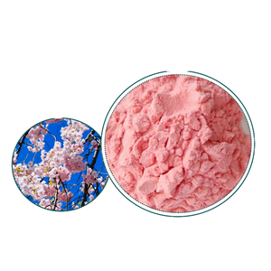 Venta caliente Suministro de alta calidad de grado alimenticio <span class=keywords><strong>Sakura</strong></span> Flower Powder 100% Pure Pink Natural <span class=keywords><strong>Sakura</strong></span> Powder - Product Image 1