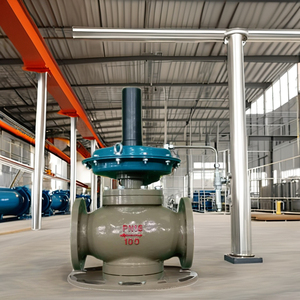 Termostato de Seguridad para Regulador de Gas ZZC-16C - Product Image 4