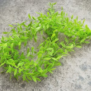 Wen Hope Artificial Willow <b>Leaves</b> Vines Plastic Green Plant <b>Decoration</b> Indoor <b>Wall</b> Ceiling Hanging 30cm-100cm Bouquet Wedding - Product Image 2