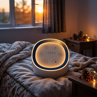 Machine à bruit blanc portable rechargeable 2026 Deep Sleep Sound Bridge avec 30 pistes apaisantes et minuteur pour la relaxation au chevet