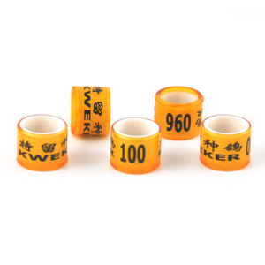 Taiwan Filipijnen 2019 Postduivenringen Nieuwe Duivenring Verbieden - Product Image 5