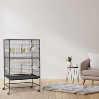 Cage à oiseaux de luxe classique pour calopsites, perruches grises africaines, perruches Quaker, perruches solaires, conures à joues vertes, pigeons et perroquets, avec support et boîte