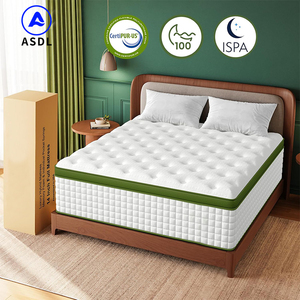 Sang Trọng Và Thoải Mái Khách Sạn Năm Sao Nệm Cao Su Thiên Nhiên Giấc Ngủ Tốt Bộ Nhớ Bọt Túi Mùa Xuân Nệm - Product Image 5